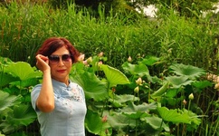 大象蕉污在线观看免费视频